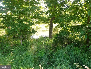 0 Path Valley Rd unit PAFL2000312, Fort Loudon, PA 17224 - photo 7