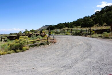 966 Pronghorn Trail, Del Norte, CO 81132 - photo 2