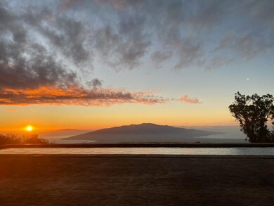 569 Hapapa Rd, Kula, HI 96790 - photo 2