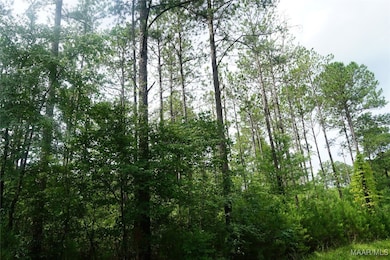 640 Barnes Rd, Pike Road, AL 36064 - photo 3