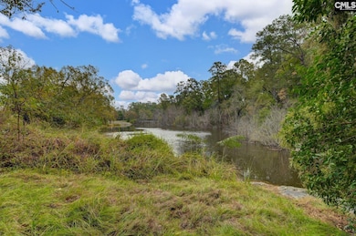 117 Summerfield Dr, Lexington, SC 29072 - photo 2