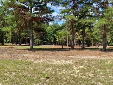 Lot 380