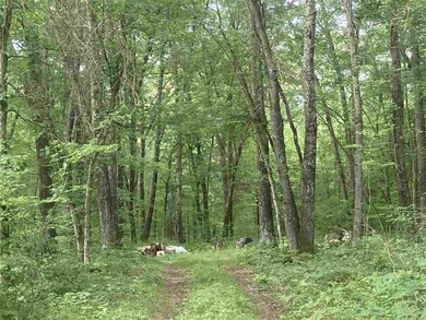 60 Acres 22nd St, Cutler, WI 54618 - photo 2