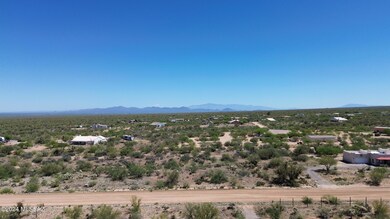 DJI_0868