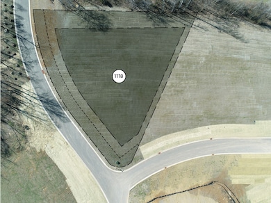 8422 Six String Dr, College Grove, TN 37046 - photo 3