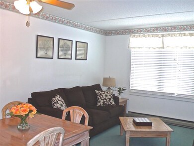 28 Packards Rd unit 320, Waterville Valley, NH 03215 - photo 3