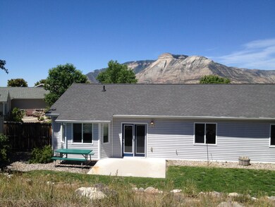 East Face Back Yard