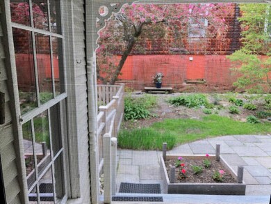 View outside from porch door