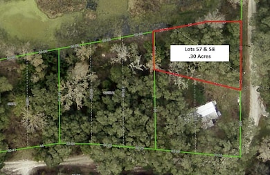 0 Turtle St unit MFRTB8377054, Ridge Manor, FL 33523 - photo 2