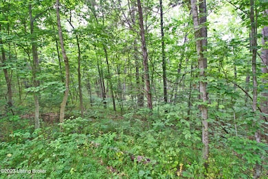 9449 Bob Rogers Rd, Frankfort, KY 40601 - photo 3