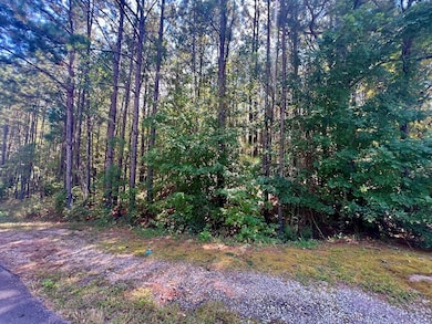 1150 Denton Rd unit 371, Douglasville, GA 30134 - photo 7