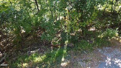 2025-09-12-10-36-10-779