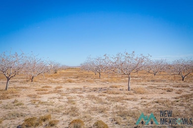 353 N Red Bridge Rd, Roswell, NM 88201 - photo 3