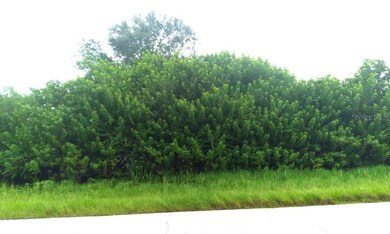 7310 David Blvd, Point Charlotte, FL 33981 - photo 5