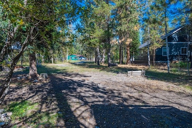 808 Hayes St, McCall, ID 83638 - photo 6