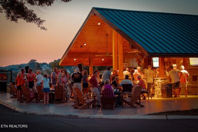 585 Black Cove Ln, Loudon, TN 37774 - photo 7