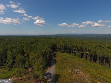 0 Johnson Mountain Rd unit 7401-J 10608988, Rydal, GA 30171 - photo 3