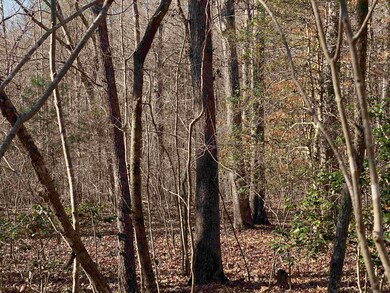 375 Riverwalk Trail, Pittsboro, NC 27312 - photo 5