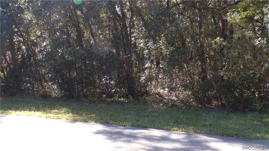 unlisted-address, Hernando, FL 34442 - photo 5