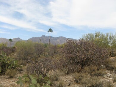 Second of 3 panorama pics of Catalina's