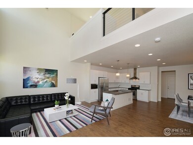 503 Cajetan St, Fort Collins, CO 80524 - photo 4