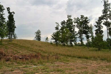 0 Red Williams Rd, Crossville, TN - photo 5