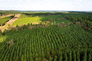 00 County Road 857, Nacogdoches, TX 75964 - photo 4