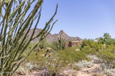 4-web-or-mls-D46A6261
