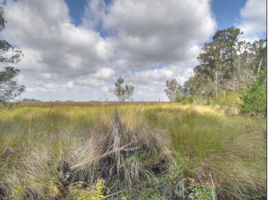 139 Saint Annies Ln, St. Simons Island, GA 31522 - photo 2