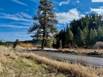 20 Red Tail Ridge, Colfax, WA 99111 - photo 6