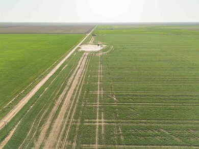 Friemel_NW-5