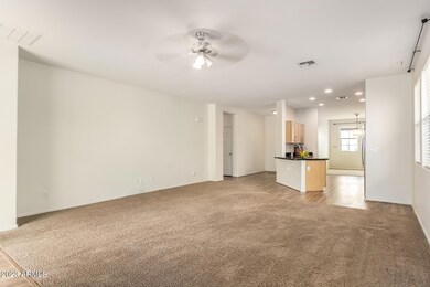 Washed Carpet