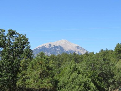 IMG_9577