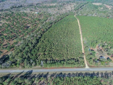 000 Avera Rd, Roberta, GA 31078 - photo 3