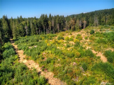 0 256th St E, Graham, WA 98338 - photo 5