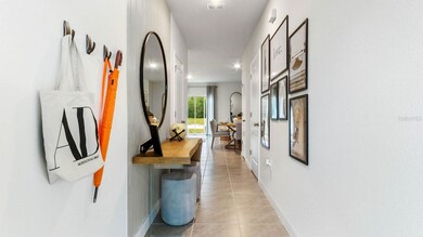 31202 Midnight Sun Way, Wesley Chapel, FL 33545 - photo 6