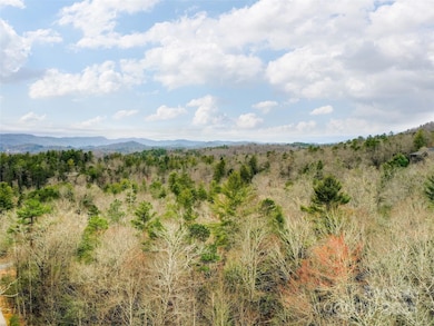 0 Springhouse Trail unit 15 CAR4228686, Brevard, NC 28712 - photo 6