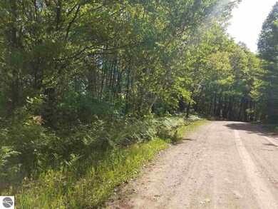 Lot 78 Fence Row Cir, Leroy, MI 49655 - photo 5