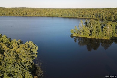 2 Lena Rd, Forestburgh, NY - photo 2