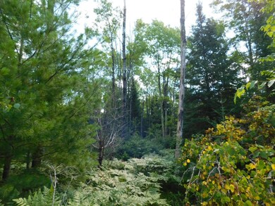 Lot 2 Sanctuary Rd, Tomahawk, WI 54487 - photo 4