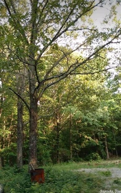 160 Star Rd, Heber Springs, AR 72543 - photo 2