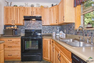 13431 County Road 2216, Tyler, TX 75707 - photo 4