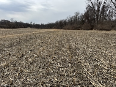 0 Decker Pond Airport Rd unit 3945534, Green Twp., NJ 07821 - photo 7