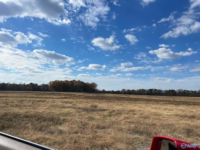 Tract 17 Hays Mill Rd, Elkmont, AL 35620 - photo 2