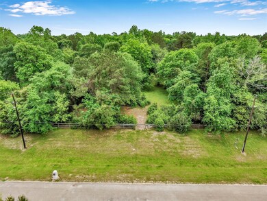 6715 W Bluff Dr, Magnolia, TX 77354 - photo 3