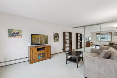 333 8th St SE unit 304, Minneapolis, MN 55414 - photo 6