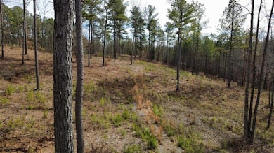 LT 108 Blalock Mountain Rd, Talking Rock, GA 30175 - photo 7