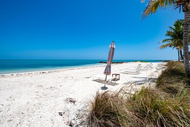 Beach Solitude