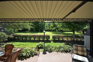 Your view out the back of the home.