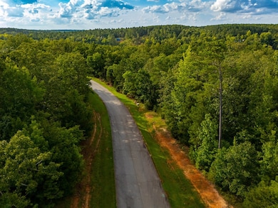 329 Terrapin Pointe Rd, Hodges, SC 29653 - photo 2
